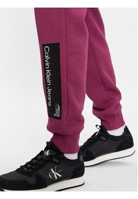 Calvin Klein Jeans Spodnie dresowe J30J324053 Fioletowy Regular Fit. Kolor: fioletowy. Materiał: bawełna, syntetyk #3
