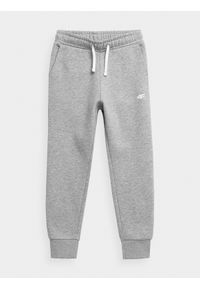 4f - Spodnie dresowe dziewczęce. Okazja: na co dzień. Kolor: szary. Materiał: dresówka. Styl: casual #1