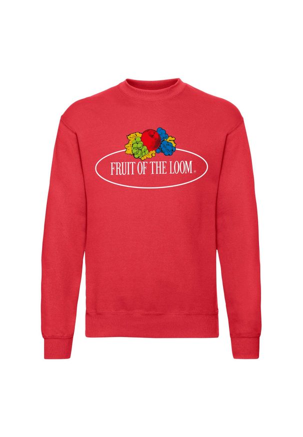 FRUIT OF THE LOOM - Męska Bluza Z Nadrukiem Logo W Stylu Vintage. Kolor: czerwony. Wzór: nadruk