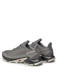 salomon - Salomon Buty do biegania Alphacross 5 473133 29 W0 Szary. Kolor: szary. Materiał: materiał #3