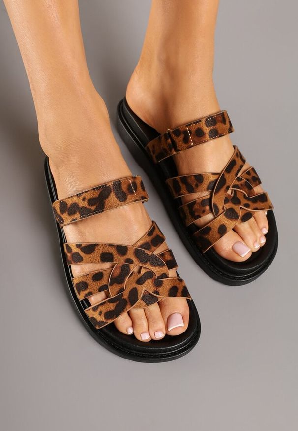 Born2be - Panterkowe Klapki z Ozdobnymi Paskami Typu Gladiatorki Zapinane na Rzep Hirna. Okazja: na co dzień, na spacer. Sezon: lato. Obcas: na obcasie. Styl: elegancki, casual. Wysokość obcasa: niski