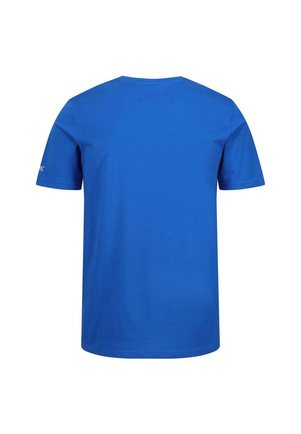 Regatta - T-shirt Męski Niska Waga Sportowy Tait. Kolor: niebieski, szary, wielokolorowy. Sport: turystyka piesza