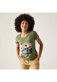 Regatta - Filandra VIII damska koszulka. Kolor: zielony. Sport: turystyka piesza #1