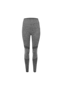 Legginsy treningowe damskie Carpatree Vibe Seamless. Kolor: szary. Sport: fitness