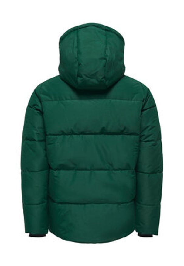 Only & Sons Kurtka zimowa 22025825 Zielony Regular Fit. Kolor: zielony. Materiał: syntetyk. Sezon: zima