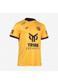 KIPSTA - Koszulka piłkarska autentyczna Kipsta Roda JC 25/26 domowa. Kolor: żółty, pomarańczowy, wielokolorowy. Materiał: poliester, tkanina, elastan, materiał, prążkowany. Sport: piłka nożna #1