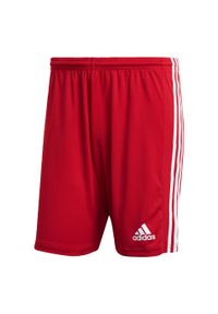 Adidas - Spodenki piłkarskie męskie adidas Squadra 21 Short. Kolor: czerwony, wielokolorowy, biały. Długość: krótkie. Sport: piłka nożna