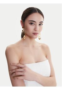 Elisabetta Franchi Kolczyki OR-14K-52E2-V300 Złoty. Materiał: metalowe. Kolor: złoty