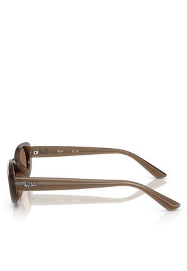 Ray-Ban Okulary przeciwsłoneczne 0RB4441D 53 677973 Brązowy. Kolor: brązowy. Materiał: syntetyk