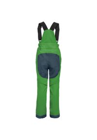 Spodnie narciarskie dla dzieci Vaude Snow Cup Pants III. Kolor: zielony. Materiał: poliester. Sezon: zima. Sport: narciarstwo