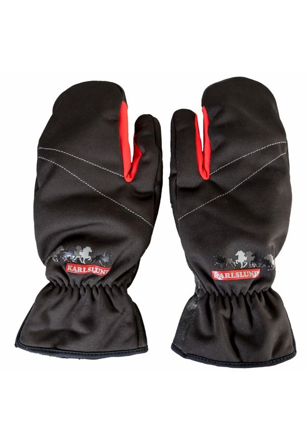 KARLSLUND - Rękawice narciarskie Karlslund Lux. Kolor: wielokolorowy, czarny, czerwony. Materiał: skóra. Sport: narciarstwo