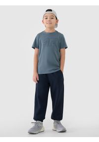 4f - 4F T-shirt z nadrukiem chłopięcy - turkusowy 164 (13-14 lat). Okazja: na co dzień. Kolor: turkusowy. Materiał: dzianina, bawełna, jersey. Długość rękawa: krótki rękaw. Długość: krótkie. Wzór: nadruk. Sezon: lato. Styl: klasyczny, sportowy, casual