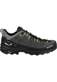 Buty Trekkingowe Męskie Salewa Alp Trainer 2 Gtx. Kolor: szary, wielokolorowy, czarny, zielony #1