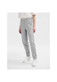 Spodnie do biegania Hummel Regular Bee. Kolor: szary. Sport: bieganie, fitness #1
