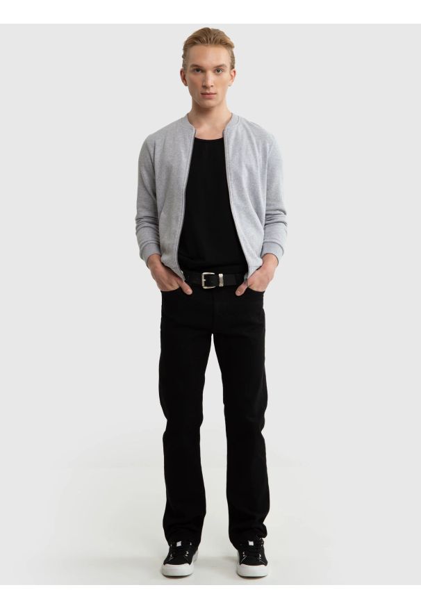 Big-Star - Bluza męska rozpinana ze stójką szara Raiden 901. Okazja: na co dzień. Typ kołnierza: kołnierzyk stójkowy. Kolor: szary. Materiał: jeans, materiał. Styl: casual