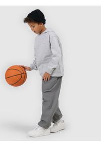 4f - 4F Bluza dresowa nierozpinana z kapturem chłopięca - szara 158 (12-13 lat). Okazja: na co dzień. Typ kołnierza: kaptur. Kolor: szary. Materiał: dresówka. Wzór: ze splotem, gładki. Sezon: lato. Styl: casual, sportowy #1