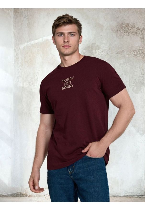 Sinsay - Bawełniana koszulka z napisem - bordowy. Kolor: czerwony. Materiał: bawełna. Wzór: napisy