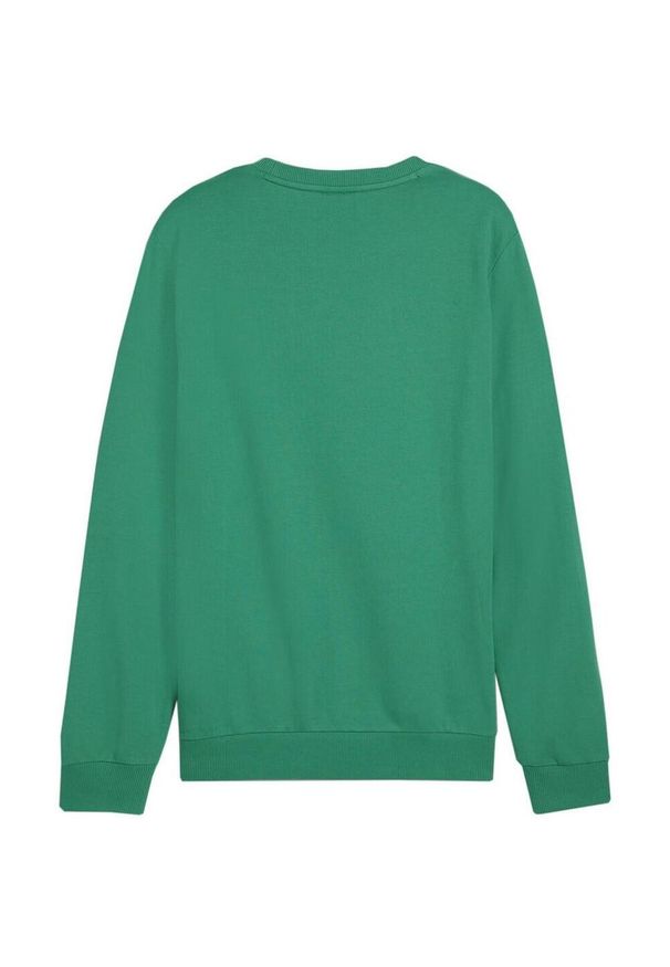 Puma - Męska Bluza Bramkarska. Kolor: zielony