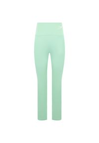 GYMSHARK - Legginsy treningowe damskie Gymshark Training Full Lenght. Kolor: zielony. Sport: fitness