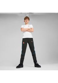 Puma - Spodnie dresowe dla dzieci OM 2024/25. Kolor: szary. Materiał: dresówka. Sport: piłka nożna