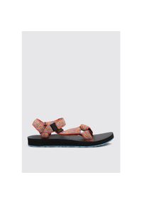 Buty do chodzenia damskie Teva Revive. Kolor: wielokolorowy. Materiał: materiał, syntetyk