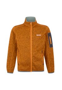 Regatta - Kurtka Dziecięca Newhill Fleece Jacket. Kolor: żółty, pomarańczowy, wielokolorowy. Sezon: zima