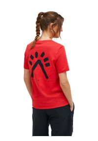 Koszulka Peak Performance damska Explore Graphic Tee czerwona - XL. Kolor: czerwony