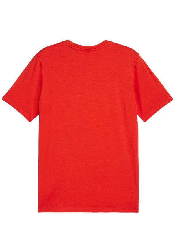 Koszulka męska Puma Team Goal Casuals Tee. Kolor: czerwony