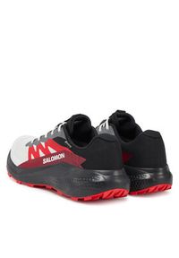 salomon - Salomon Buty do biegania Alphaglide Gore-Tex L47802200 Szary. Kolor: szary. Materiał: materiał. Technologia: Gore-Tex #5
