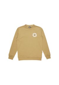 Quiksilver - Bluza z okrągłym dekoltem dla Mężczyzn GRAPHIC Beżowy. Kolor: beżowy. Materiał: materiał, poliester, bawełna. Długość: długie