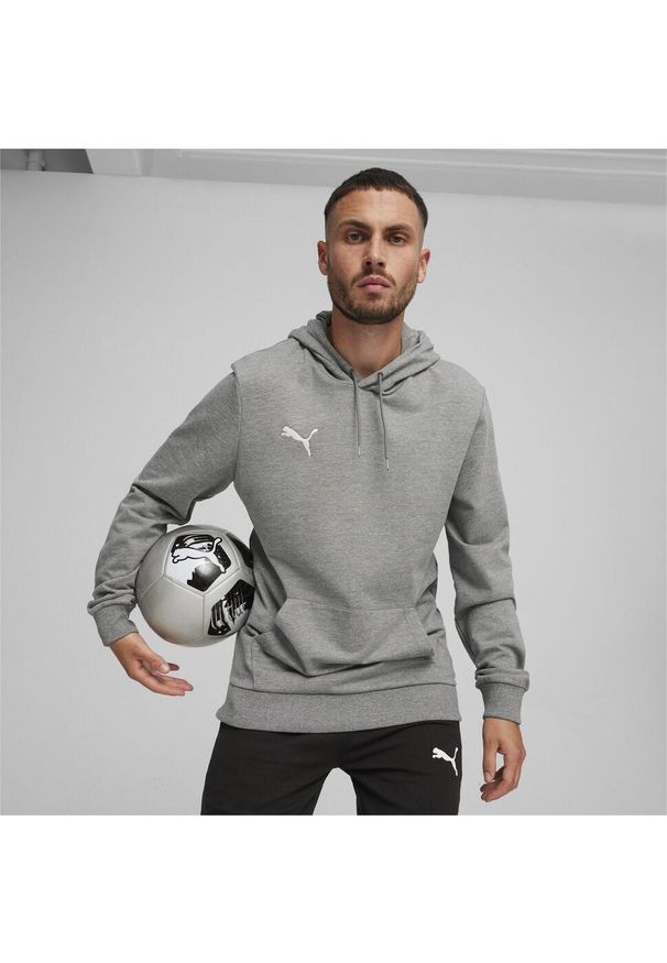 Bluza sportowa męska Puma B23611. Typ kołnierza: kaptur. Kolor: szary