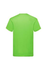 FRUIT OF THE LOOM - Oryginalna Bawełniana Koszulka Unisex Dla Dorosłych. Kolor: szary. Materiał: bawełna
