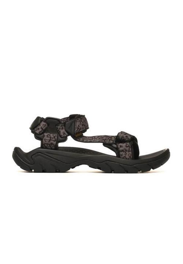 Buty do chodzenia męskie Teva Terra Fi 5 Universal. Zapięcie: rzepy. Kolor: wielokolorowy. Materiał: syntetyk, materiał. Sport: turystyka piesza