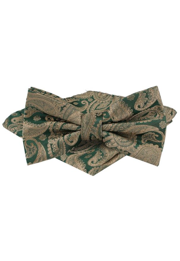 Mucha Męska w Zestawie z Poszetką - Alties - Zieleń, Beżowe Paisley. Kolor: beżowy. Wzór: paisley. Styl: elegancki, sportowy