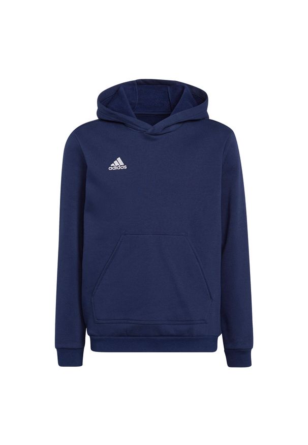 Adidas - Bluza piłkarska dla dzieci adidas Entrada 22 Hoody. Kolor: niebieski. Sport: piłka nożna