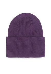 Sprandi Czapka OW3-003-AW23 Fioletowy. Kolor: fioletowy. Materiał: syntetyk