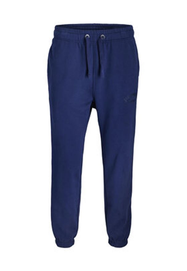 Jack & Jones Spodnie dresowe Kane Bleecker 12287165 Niebieski Relaxed Fit. Kolor: niebieski. Materiał: syntetyk, bawełna