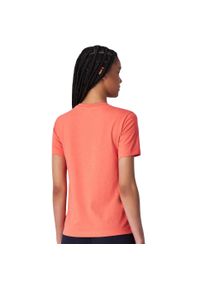 Champion - T-shirt Damski Z Bawełny Z Krótkim Rękawem. Kolor: pomarańczowy. Materiał: bawełna. Długość rękawa: krótki rękaw. Długość: krótkie