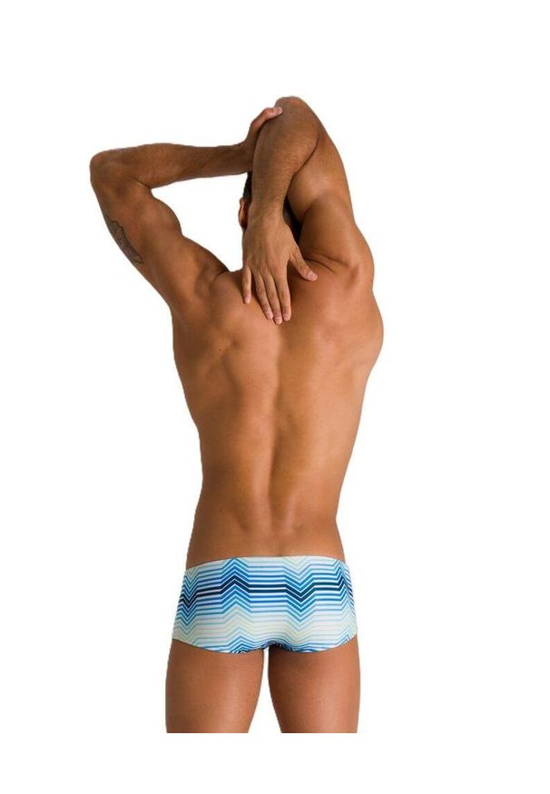 Kąpielówki męskie na basen Arena Multicolor Stripes Low Waist Short. Kolor: niebieski, wielokolorowy, biały