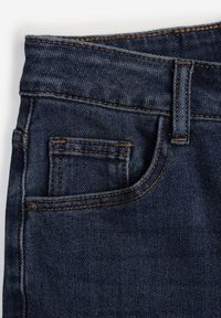 Born2be - Niebieskie Jeansy Dzwony z Wysokim Stanem z Dodatkiem Wiskozy Alindria. Okazja: na co dzień. Stan: podwyższony. Kolor: niebieski. Styl: casual #2