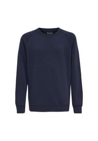 Bluza dziecięca Hummel Red Classic. Kolor: niebieski. Sport: joga i pilates #1
