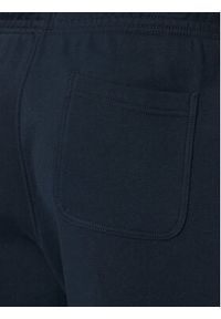 Tommy Jeans Spodnie dresowe Linear DM0DM23014 Granatowy Regular Fit. Kolor: niebieski. Materiał: bawełna #4