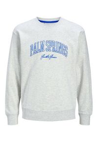 Jack & Jones - Jack&Jones Bluza Detroit 12268470 Szary Relaxed Fit. Kolor: szary. Materiał: syntetyk