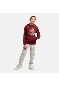 Bluza dziecięca New Balance LAKB0347MHB – bordowa. Typ kołnierza: kaptur. Kolor: czerwony. Materiał: bawełna. Wzór: aplikacja, napisy. Styl: sportowy #3