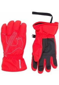 Rossignol - ROSSIGNOL Rękawice juniorskie Jr. Roosty G crimson #1