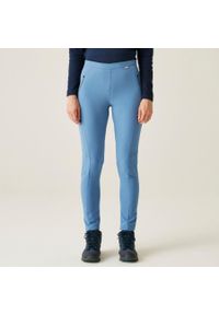 Damskie spodnie trekkingowe Regatta PENTRE STRTCH. Kolor: niebieski. Materiał: poliester, elastan. Sezon: lato. Sport: turystyka piesza #1