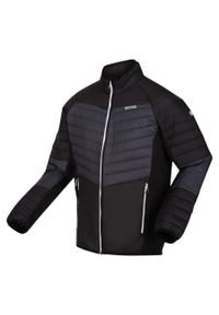 Regatta - Halton VI męski turystyczny softshell. Kolor: szary. Materiał: softshell. Sport: turystyka piesza #1