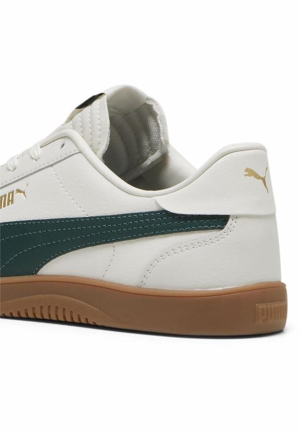 Puma - Sneakersy PUMA Club 5v5 PUMA Vapor Gray Dark Myrtle Gold Green. Kolor: zielony, wielokolorowy, szary. Materiał: skóra, syntetyk, materiał. Szerokość cholewki: normalna. Sport: turystyka piesza