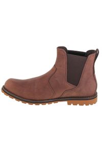 Buty do chodzenia zimowe męskie, Timberland Attleboro PT Chelsea. Kolor: brązowy. Sezon: zima. Sport: turystyka piesza