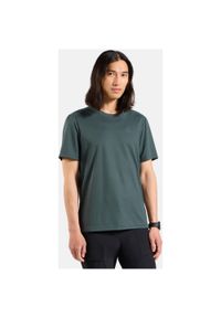 T-shirt Odlo T-shirt crew neck s/s F-DRY. Kolor: zielony. Długość rękawa: krótki rękaw. Długość: krótkie. Sport: turystyka piesza
